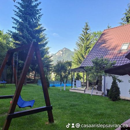 Hotel Casa Aris Lepşa Exterior foto