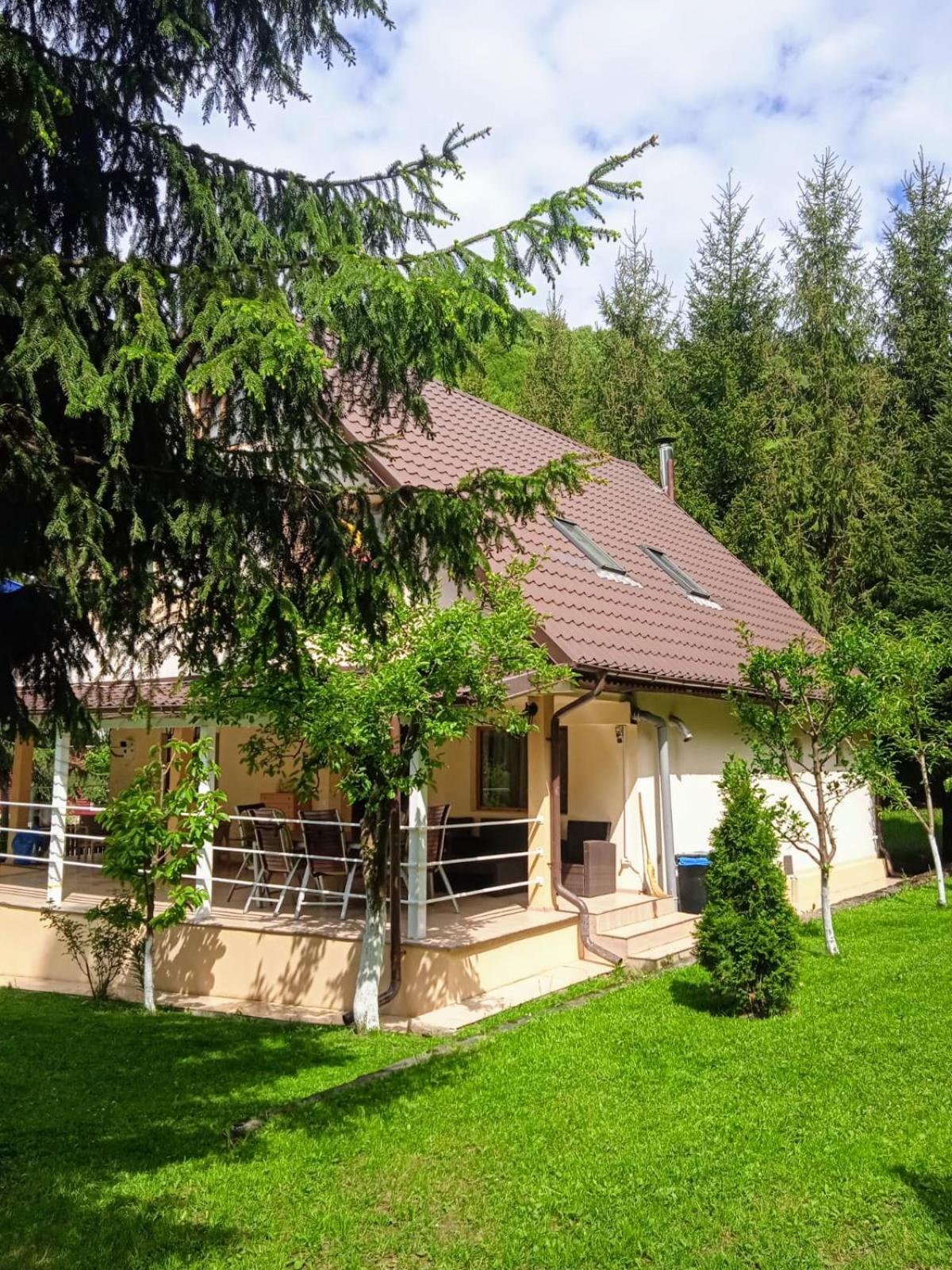 Hotel Casa Aris Lepşa Exterior foto